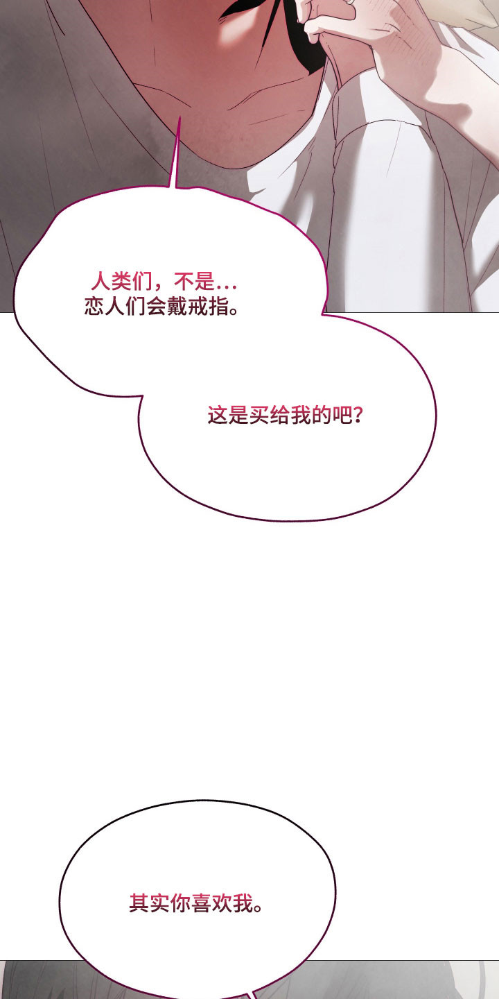 论如何饲养一只魅魔漫画,第46章：我喜欢你2图