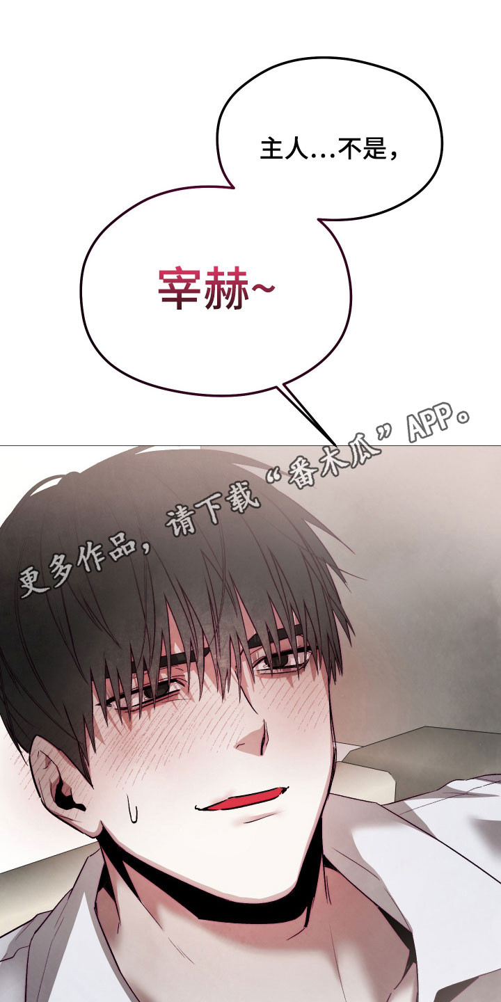 魅魔的饲养漫画,第47章：不要后悔1图