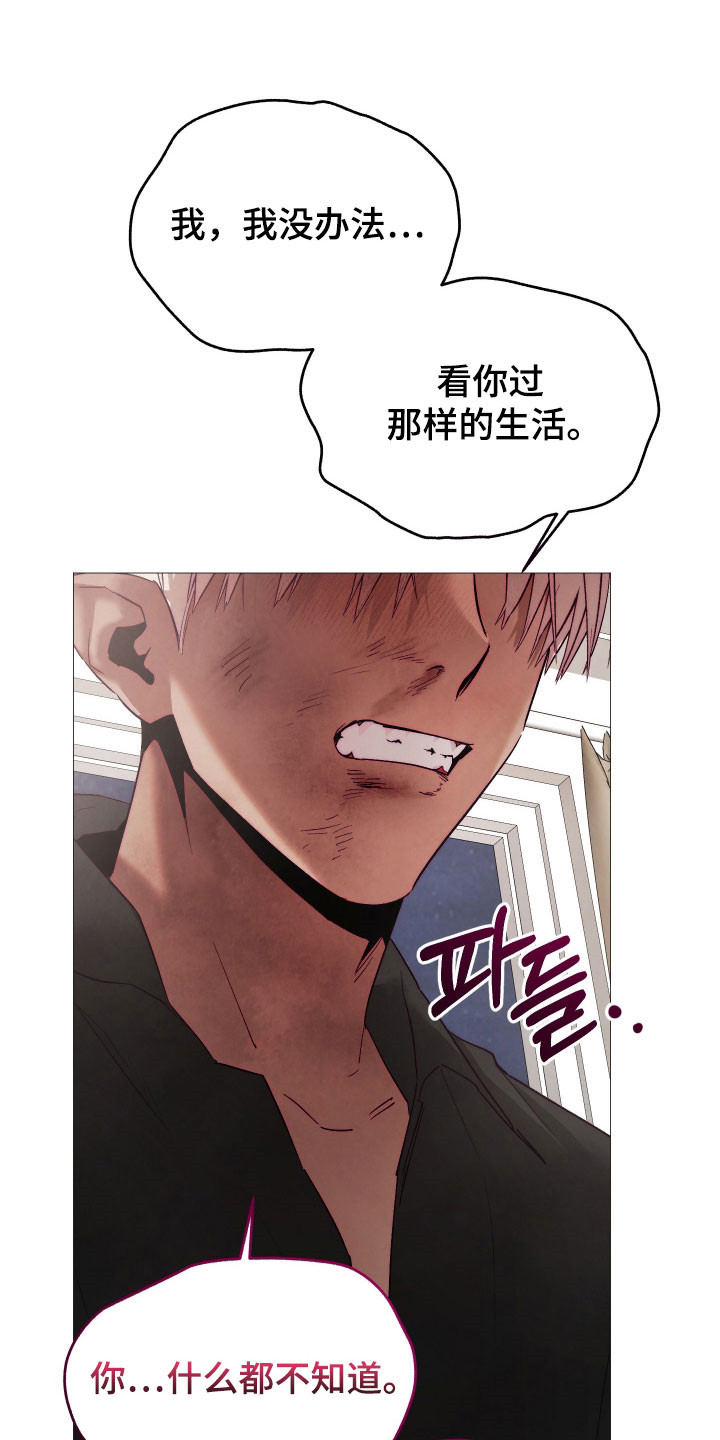 魅魔饲养法则弃养后续漫画,第46章：我喜欢你3图