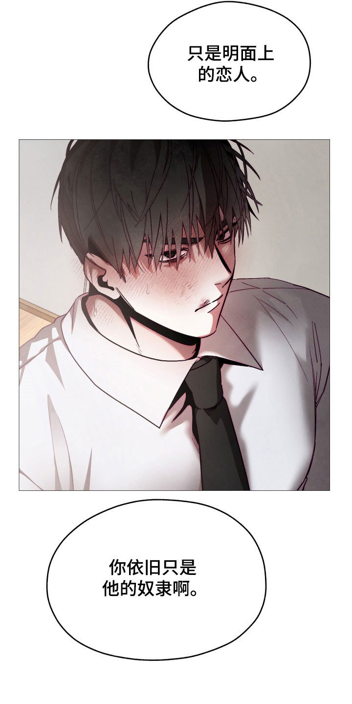 魅魔饲养法则弃养后续漫画,第46章：我喜欢你5图