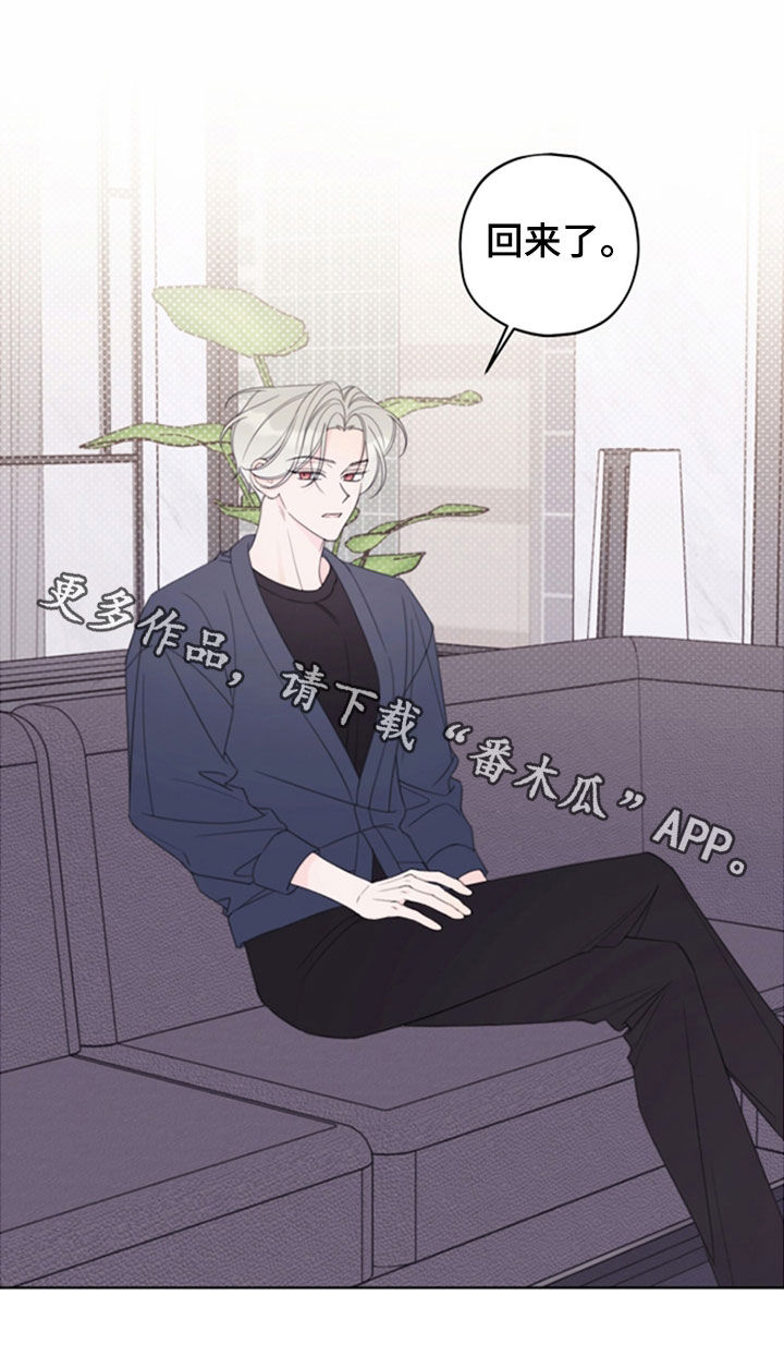 被强行契约之后漫画在线观看漫画,第117章：【第二季】恋人4图