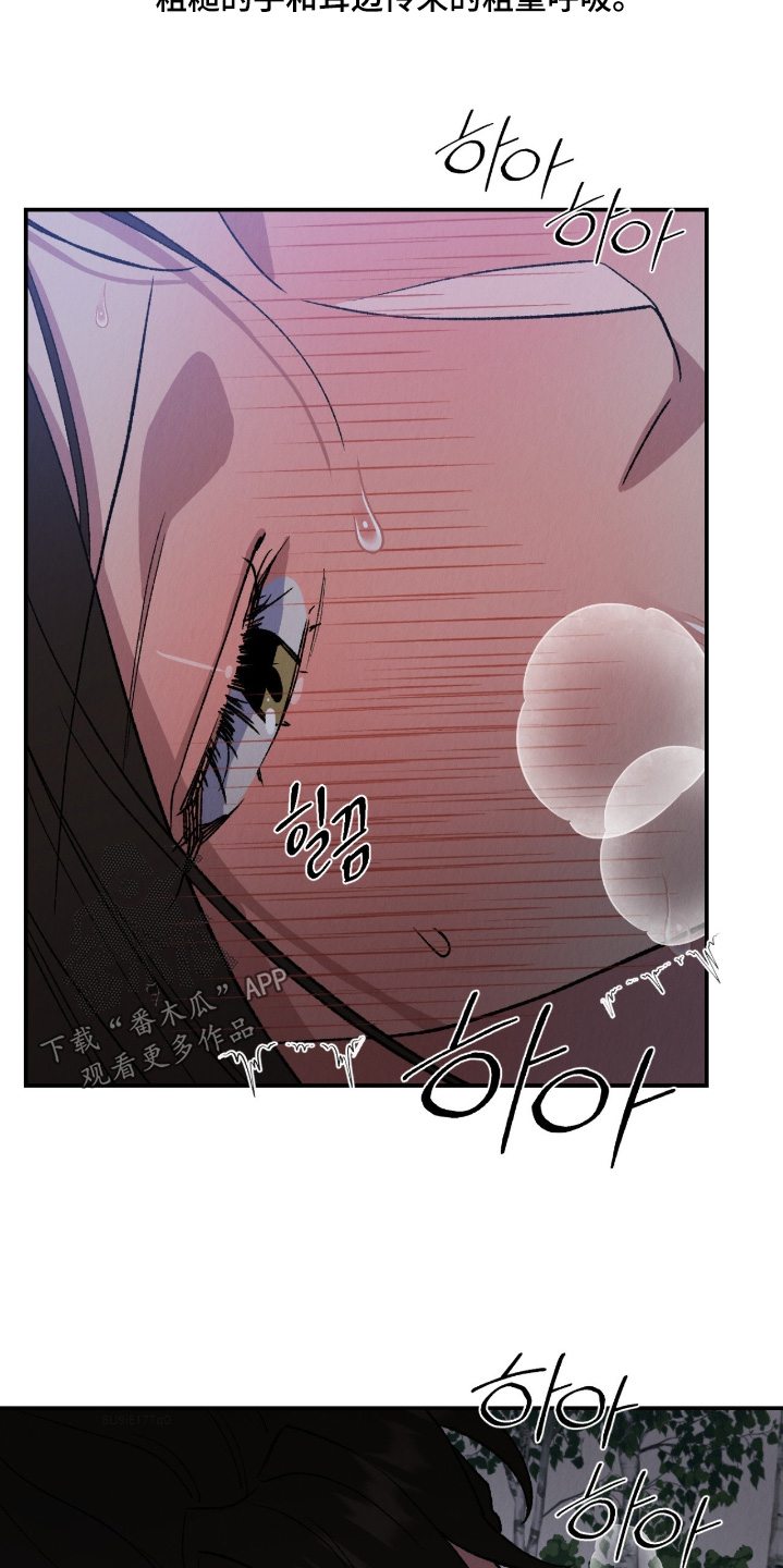 烙印之笼漫蛙更新时间漫画,第43章：去大国吧5图