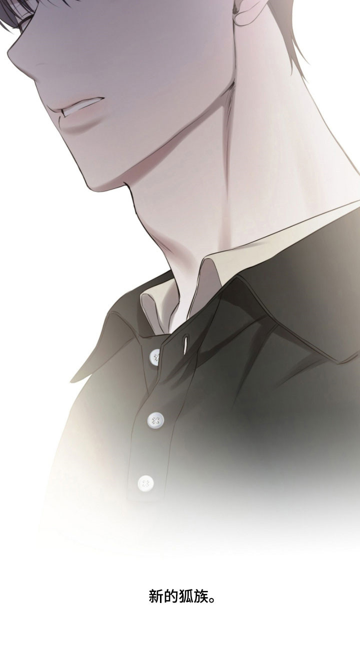 囚狐之笼漫画,第41章：新的狐族2图