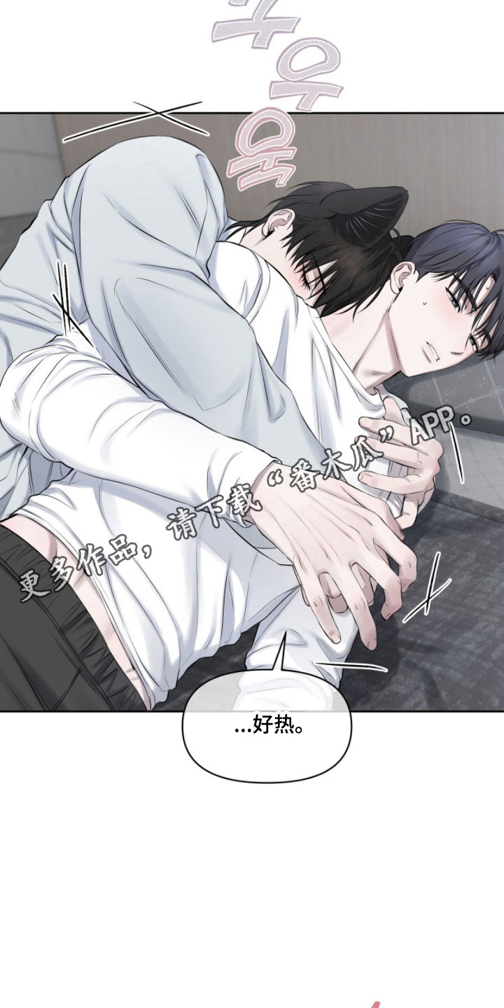 囚狐大结局漫画,第39章：没有留恋3图