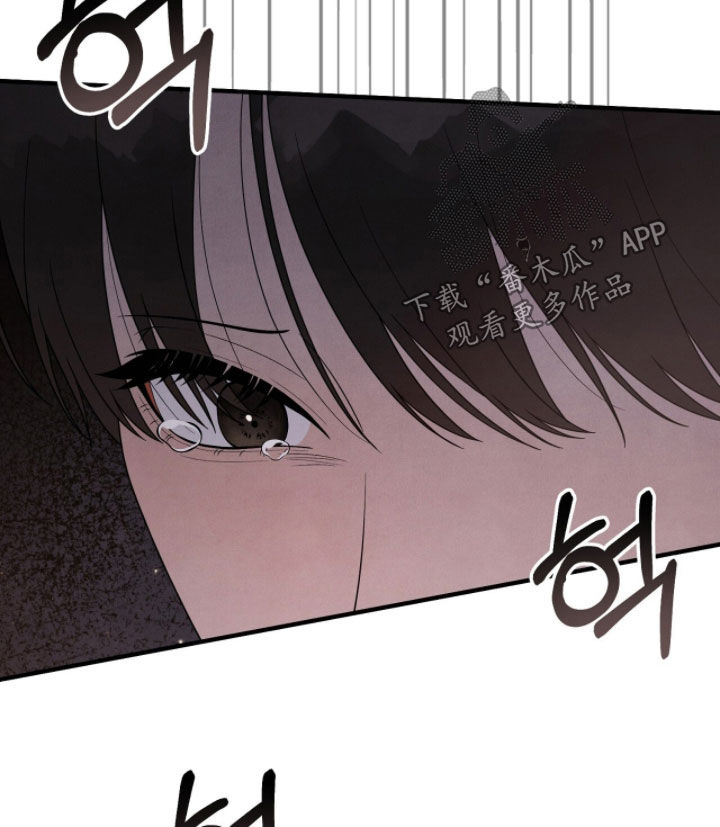 vvip范围漫画,第53章：我警告你3图