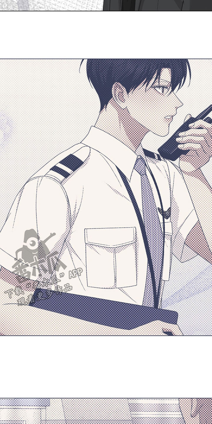 机长叫什么名字漫画,第65章：比较3图