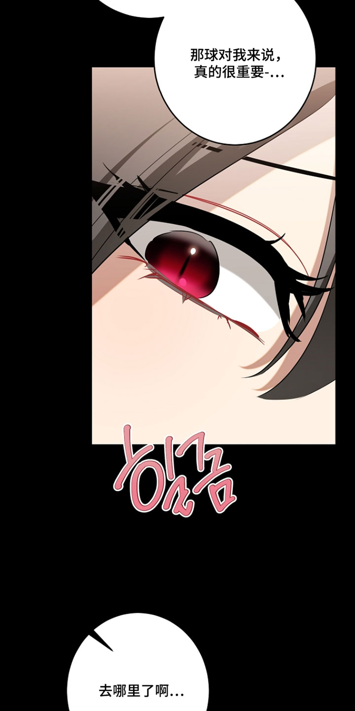 黑豹配偶超棘手动画漫画,第49章：我弄丢了4图