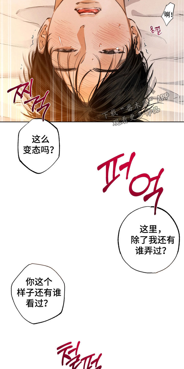 霓虹体温更新情况漫画,第52章：一直不正常（第一季完结）4图