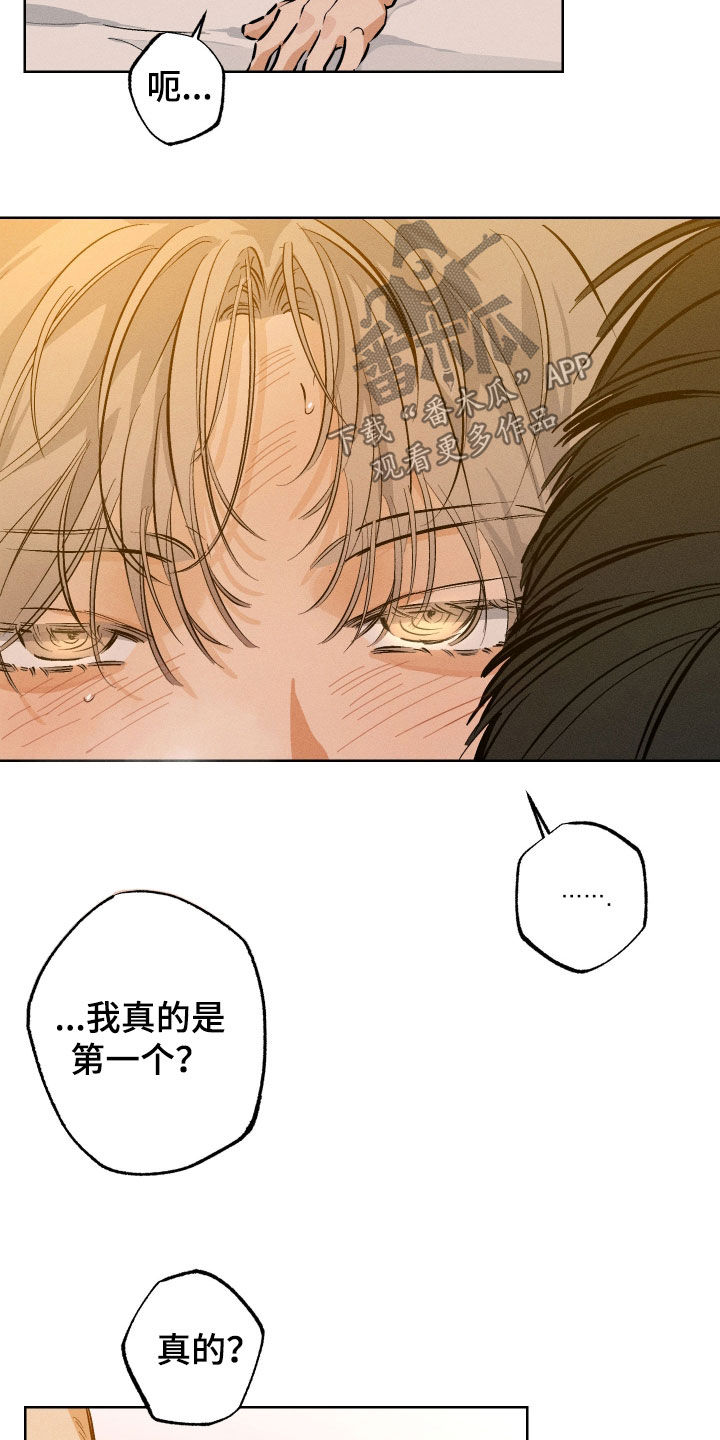 霓虹体温更新情况漫画,第52章：一直不正常（第一季完结）4图