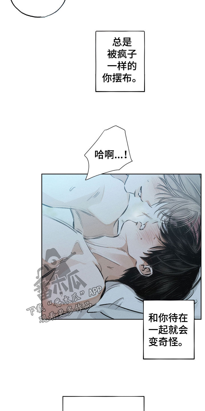 霓虹体温漫画后续在哪看漫画,第52章：一直不正常（第一季完结）5图