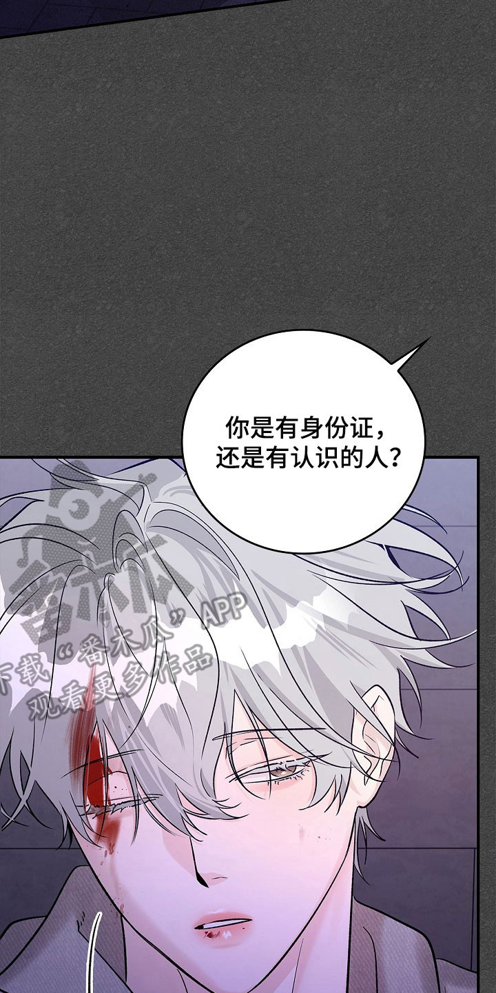 夜雾阅读理解答案漫画,第41章：光荣集团5图