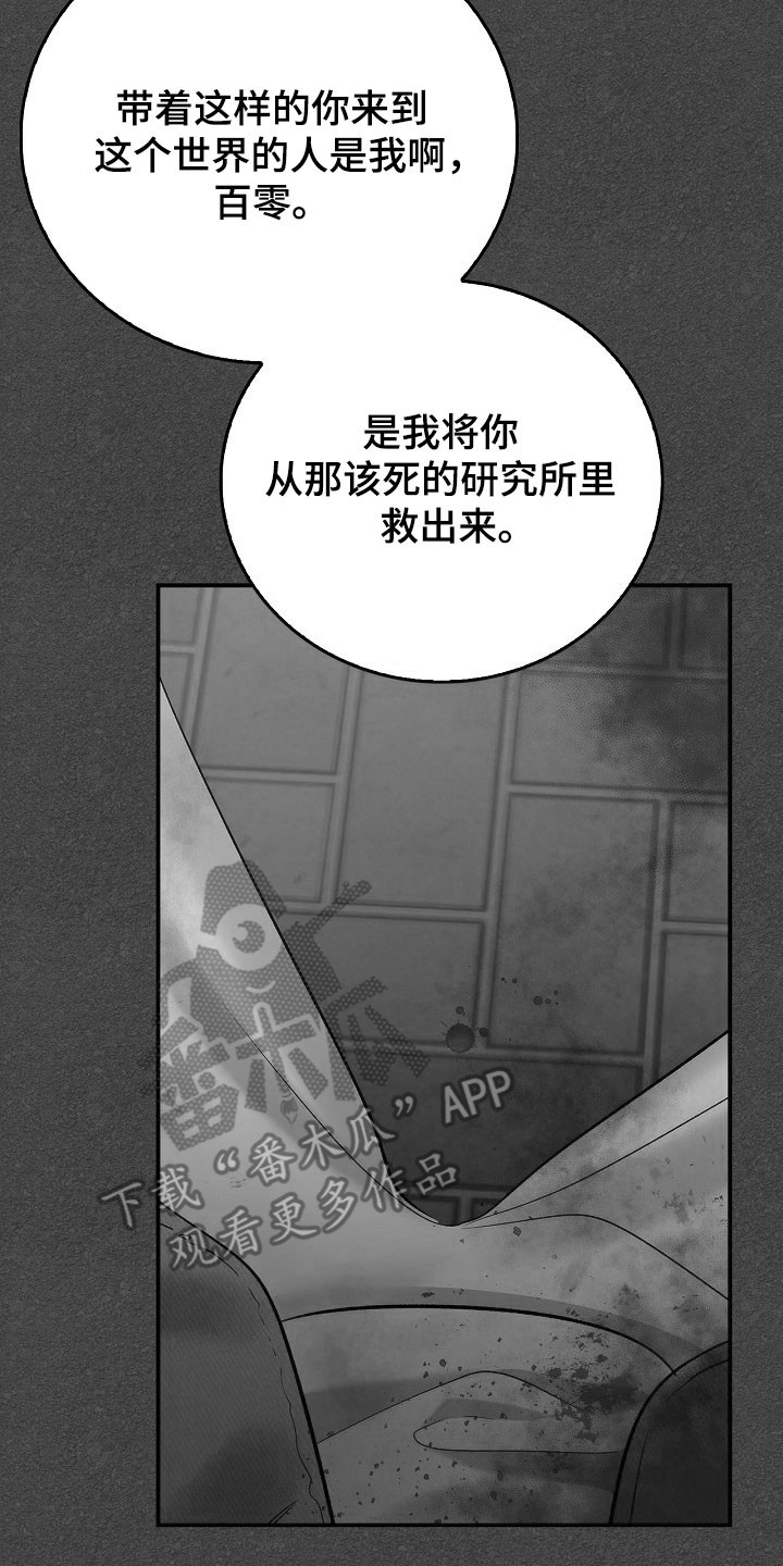夜雾罪证哪里看漫画,第41章：光荣集团1图