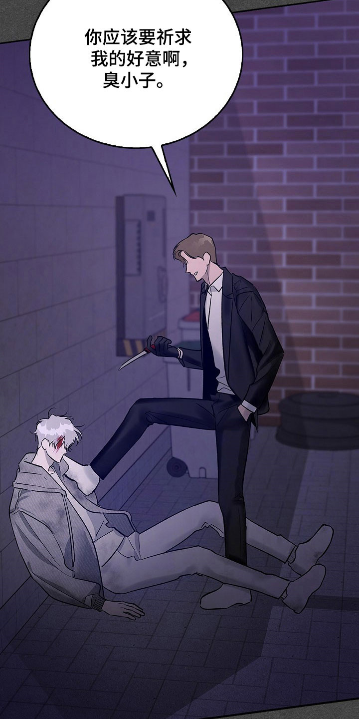 夜雾阅读理解答案漫画,第41章：光荣集团4图