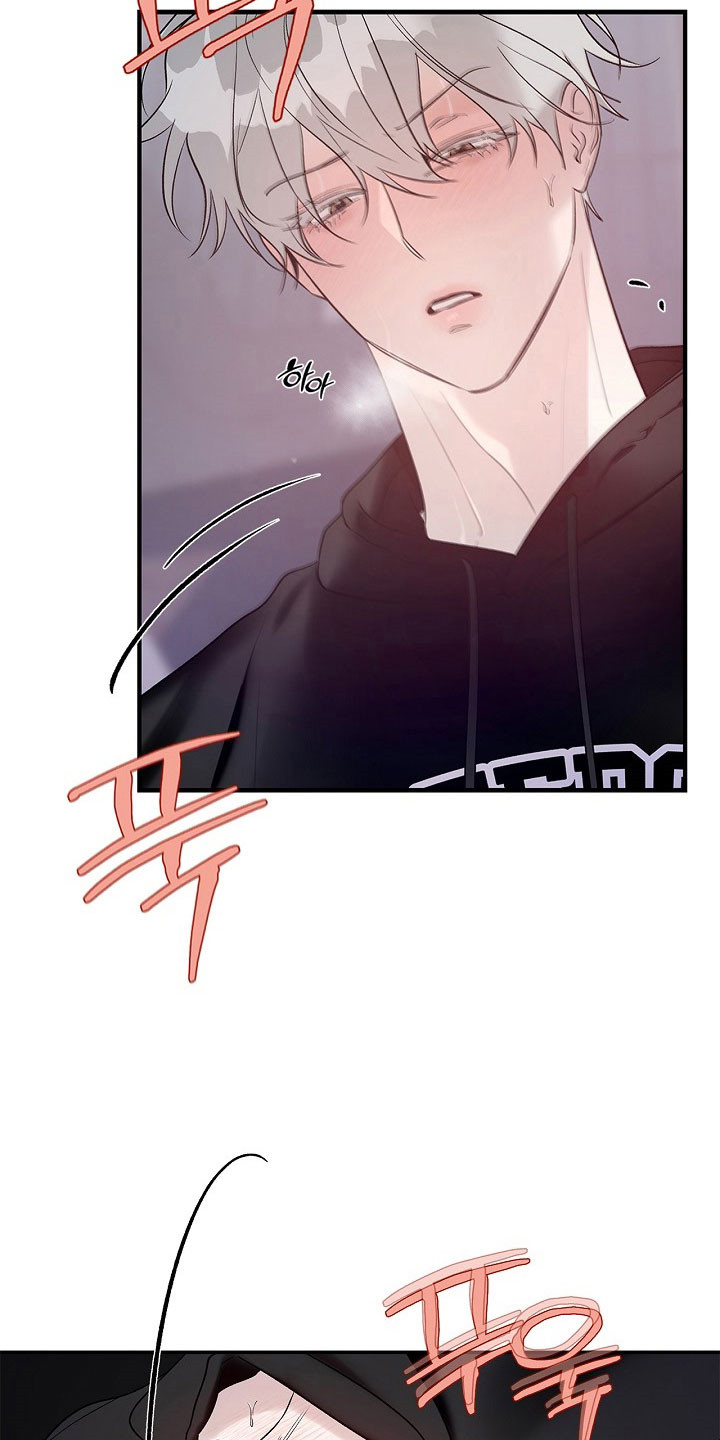 夜雾txt下载漫画,第43章：得到允许1图