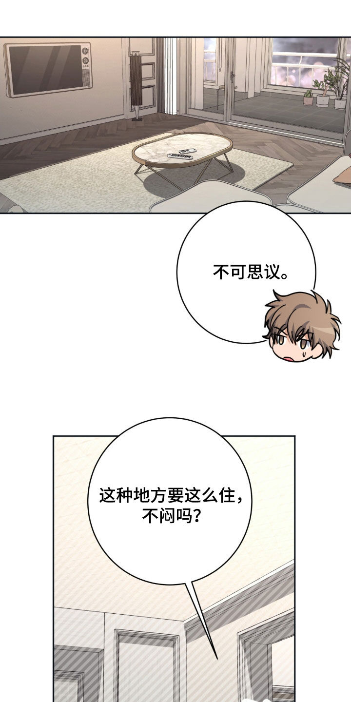 气息觉醒漫画,第56章：不想分开4图