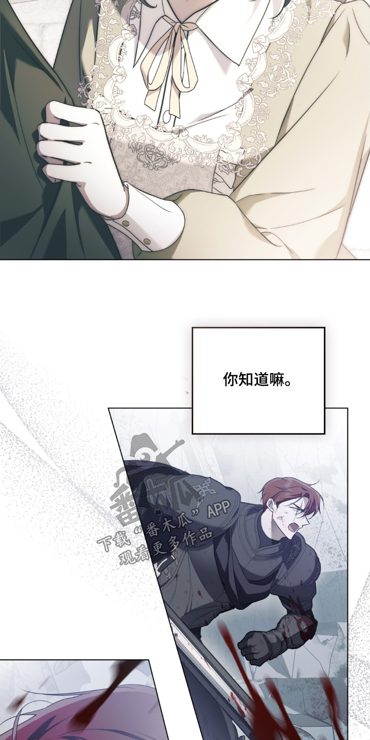 怪物女士与圣骑士漫画,第57章：要去哪里2图