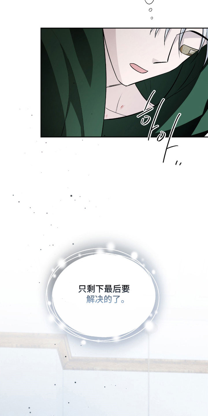 充电宝能修么漫画,第40章：最后解决4图