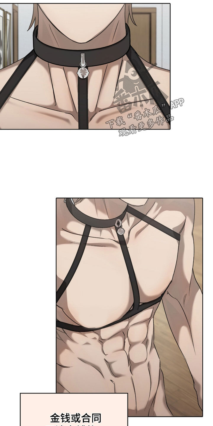 第55章：选择权3