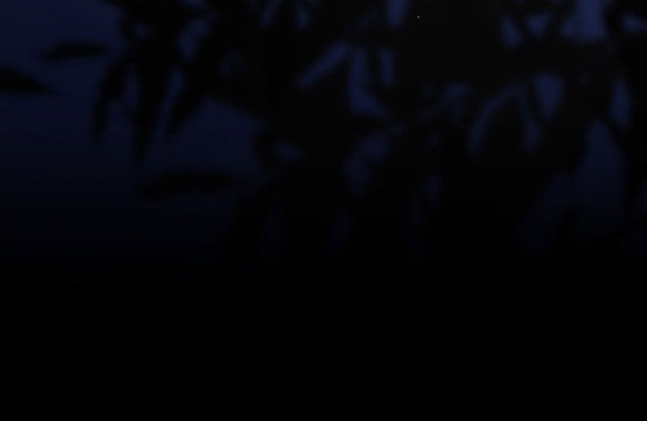 黑暗时代漫画,第46章：放火3图