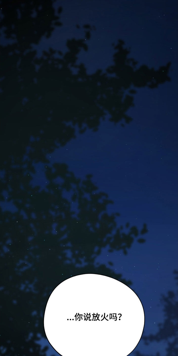 黑暗时代漫画,第46章：放火1图