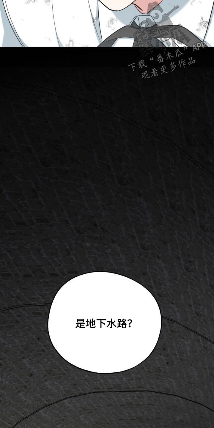 黑暗时代漫画,第50章：地下通道4图