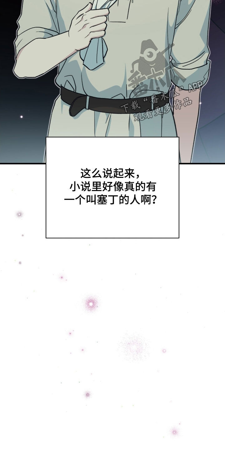 黑暗时代漫画,第52章：小说世界1图