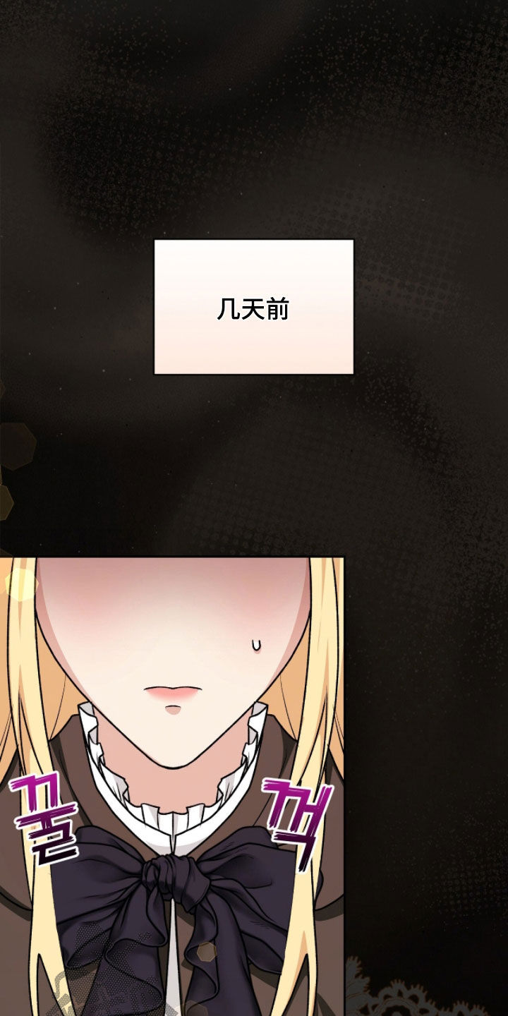 疯批大公的玩偶结局解析漫画,第103章：间谍4图