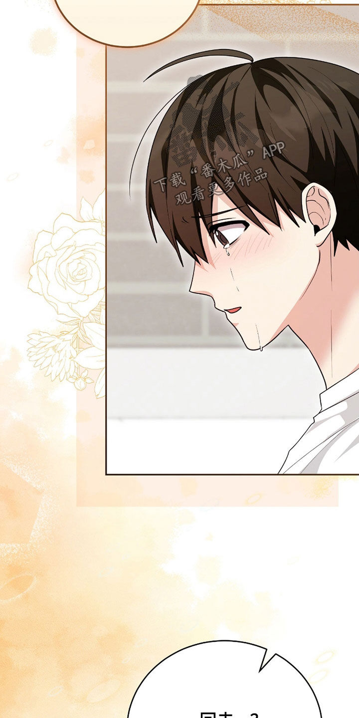 疯批大公的玩偶小说阅读漫画,第108章：求婚（完结）3图