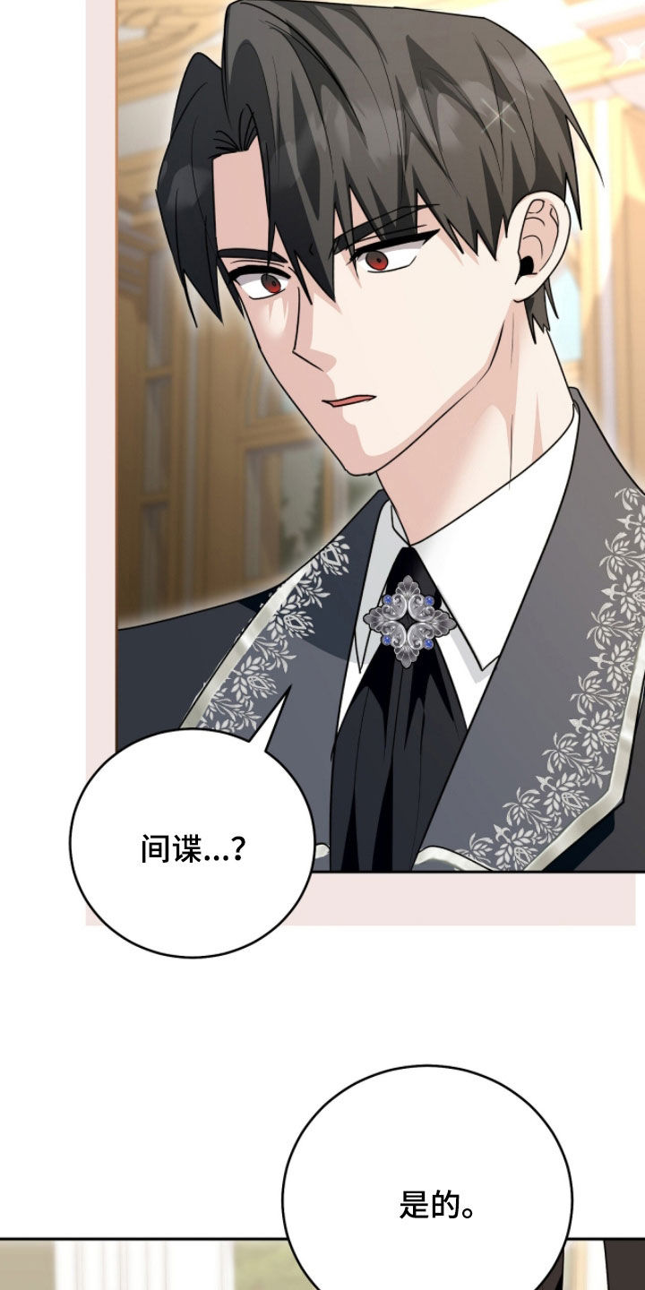 疯批大公的玩偶结局解析漫画,第103章：间谍3图