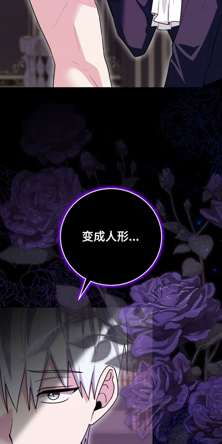 《疯批大公的玩偶》实体书漫画,第102章：弱点2图