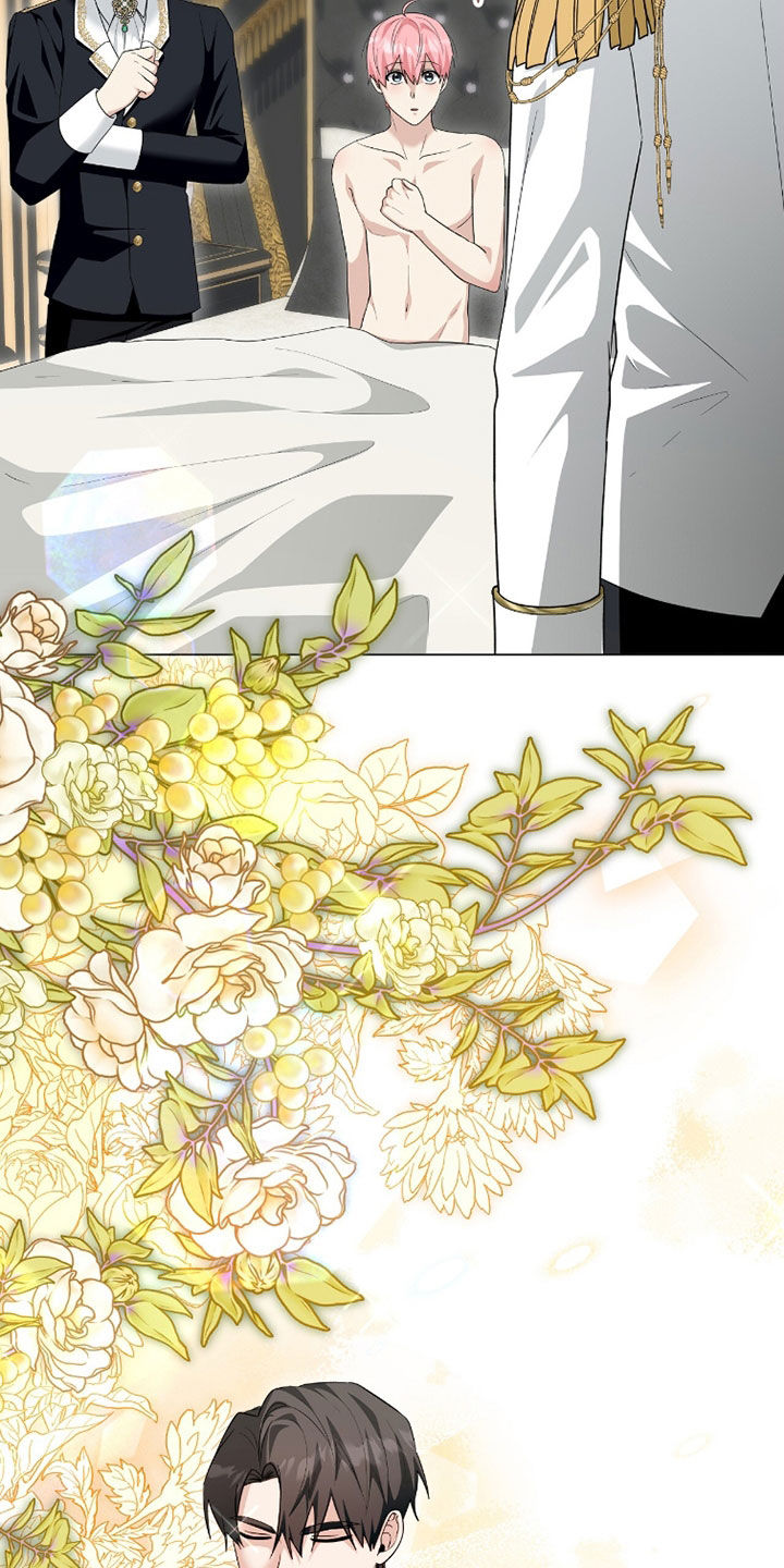 疯批大公的玩偶小说阅读漫画,第108章：求婚（完结）1图