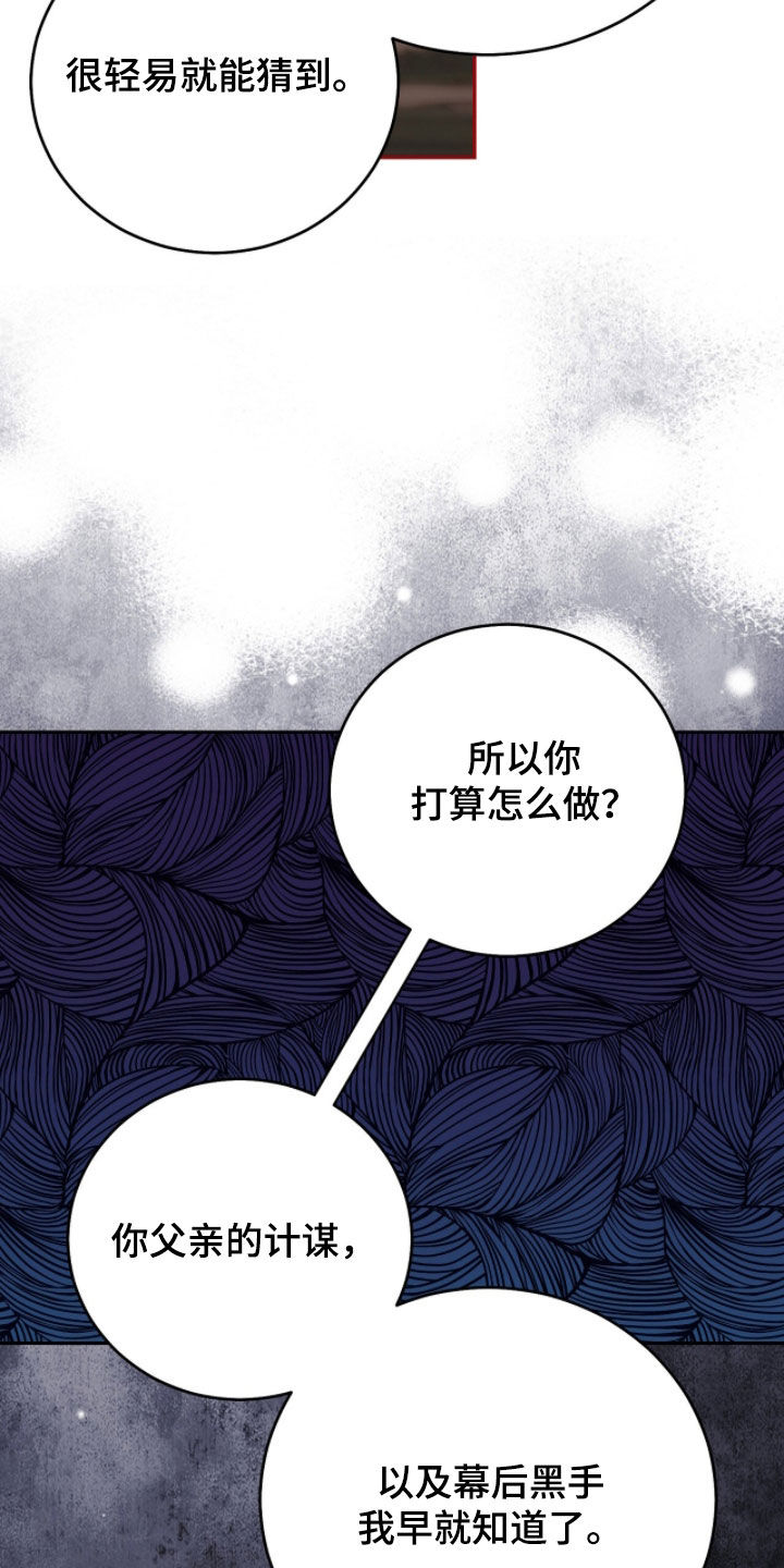 疯批大公的玩偶结局解析漫画,第103章：间谍2图