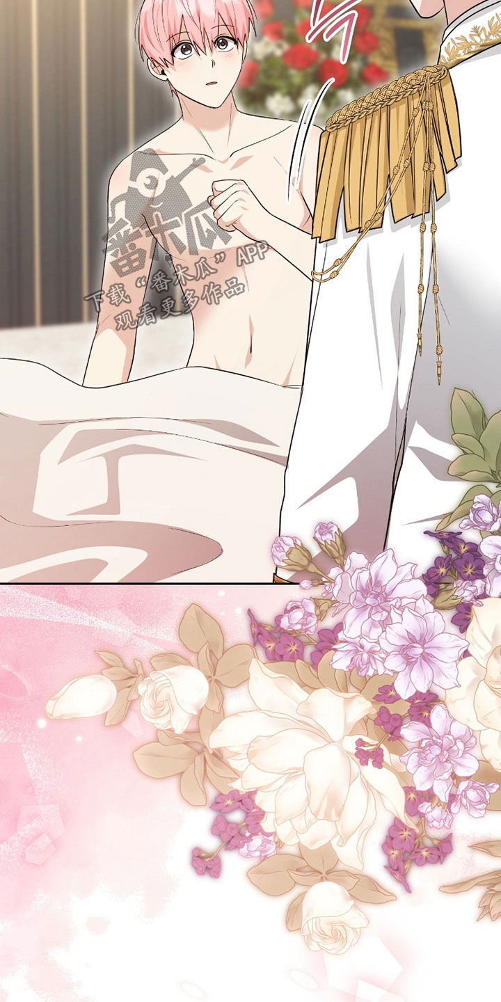 疯批大公的玩偶小说阅读漫画,第108章：求婚（完结）5图