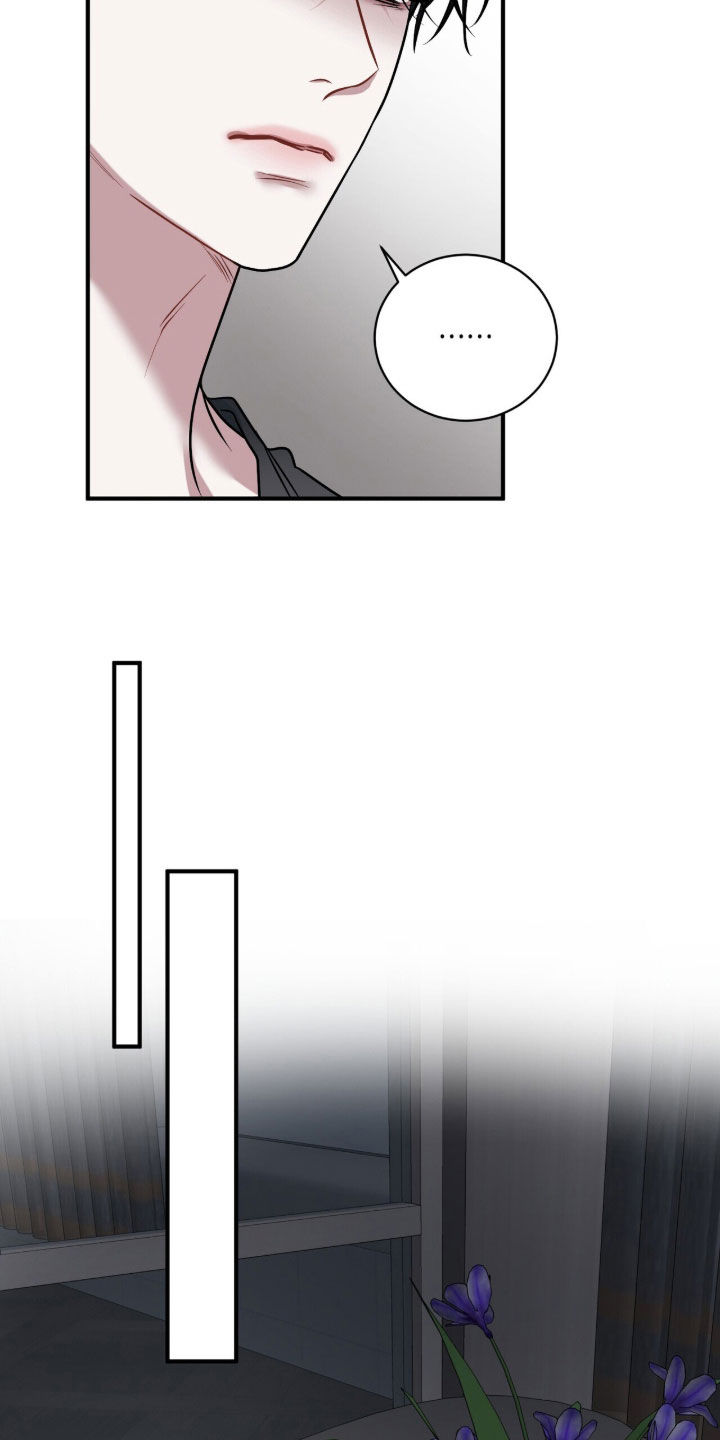 第49章：努力挣扎1