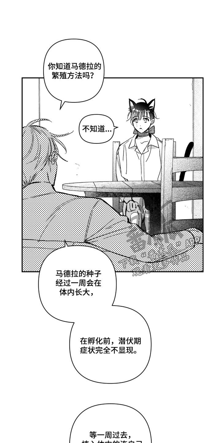 负心的他漫画,第62章：【第二季】很酷的礼物3图