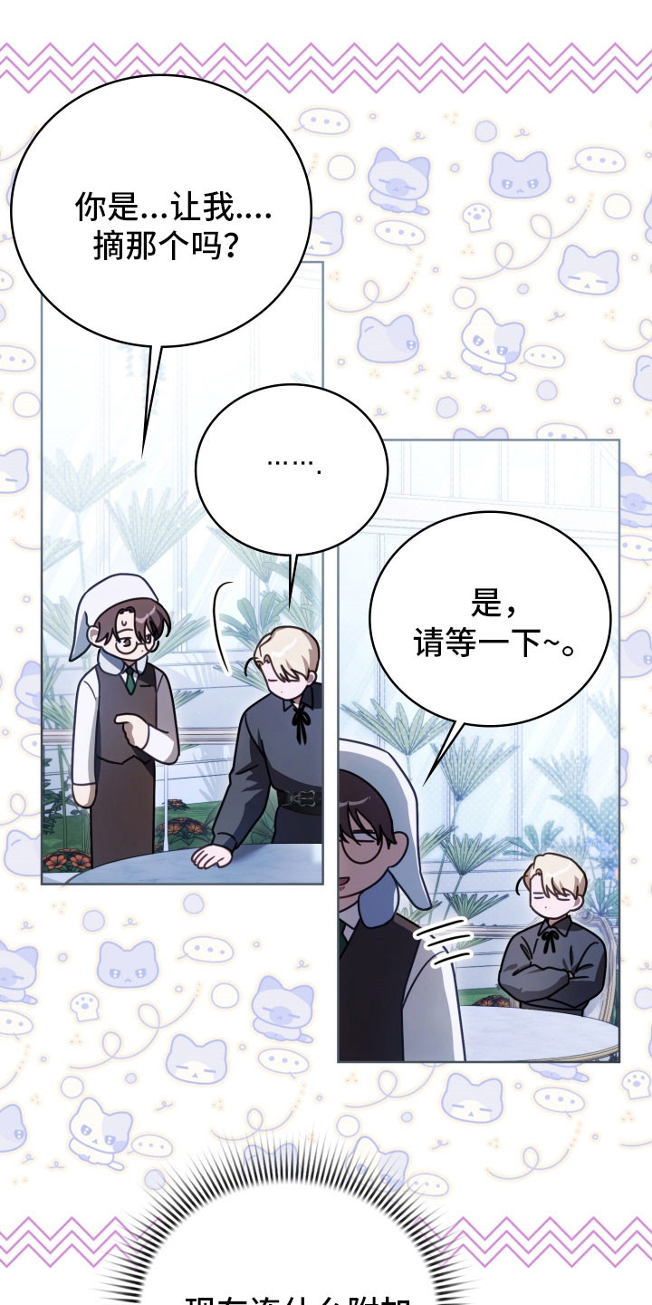 公爵情书漫画,第36章：强制抓住2图