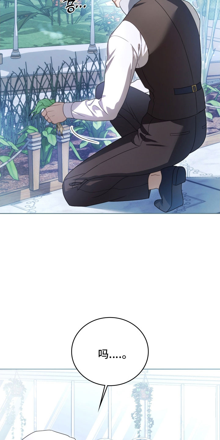 公爵情书漫画,第36章：强制抓住4图