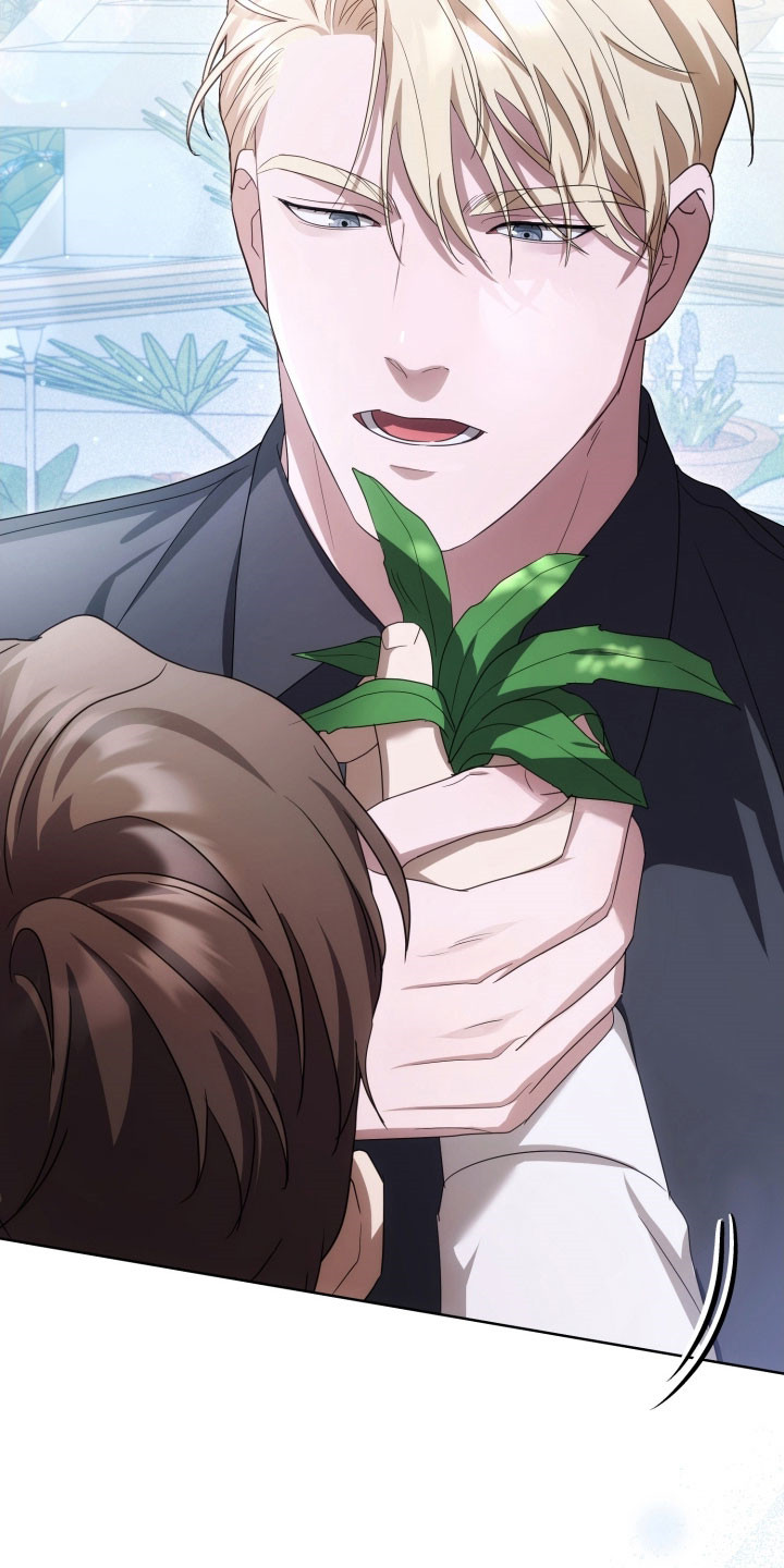 公爵家的第99位新娘漫画,第36章：强制抓住3图