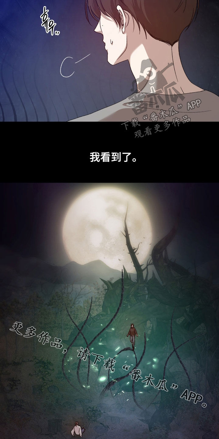 双生悲愿漫画,第46章：我看到了3图