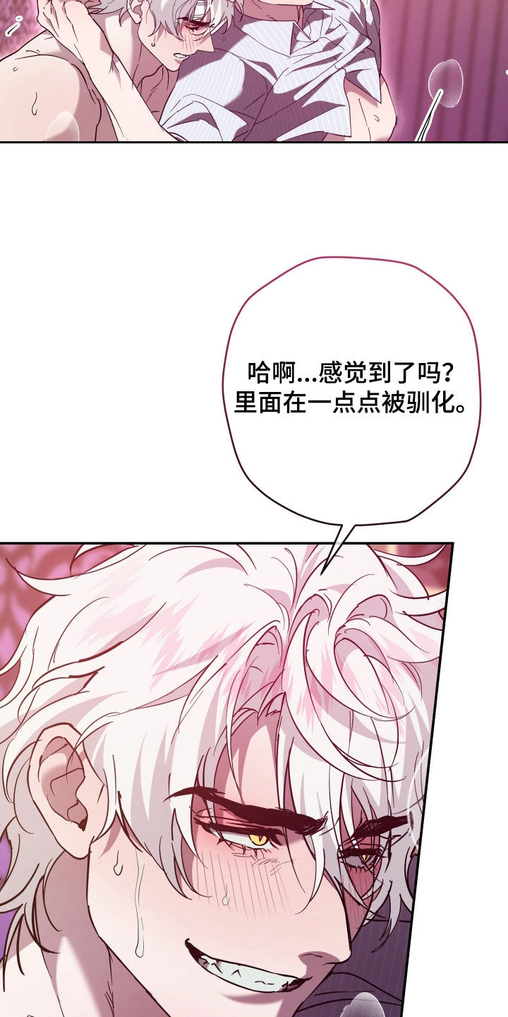 无间搭档漫画,第45章：慢慢习惯4图