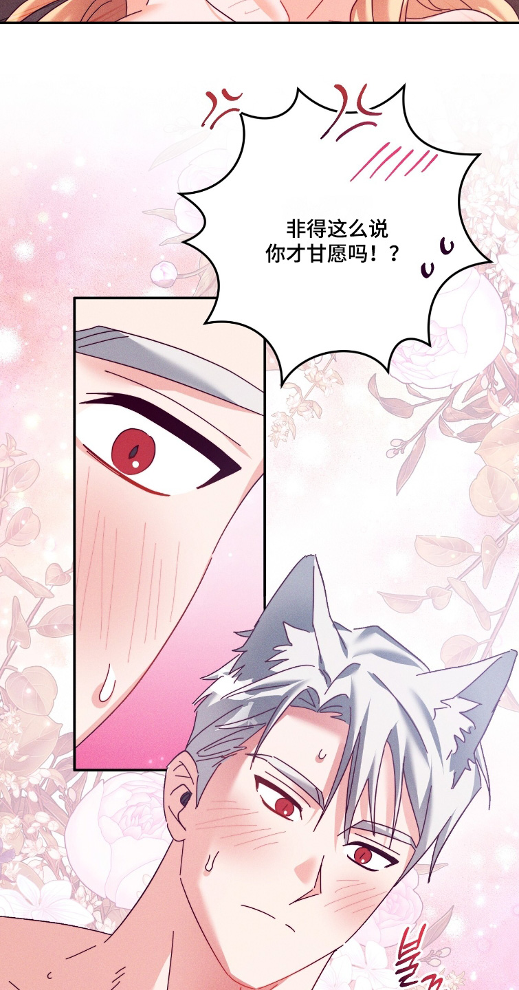 悔婚当天精彩看点漫画,第51章：足够了5图