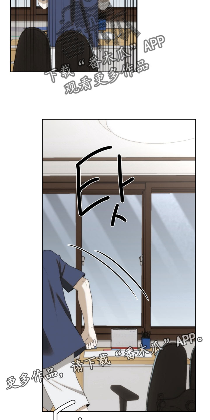 不良少年饲养手册免费阅读全文漫画,第32章：台风来了1图