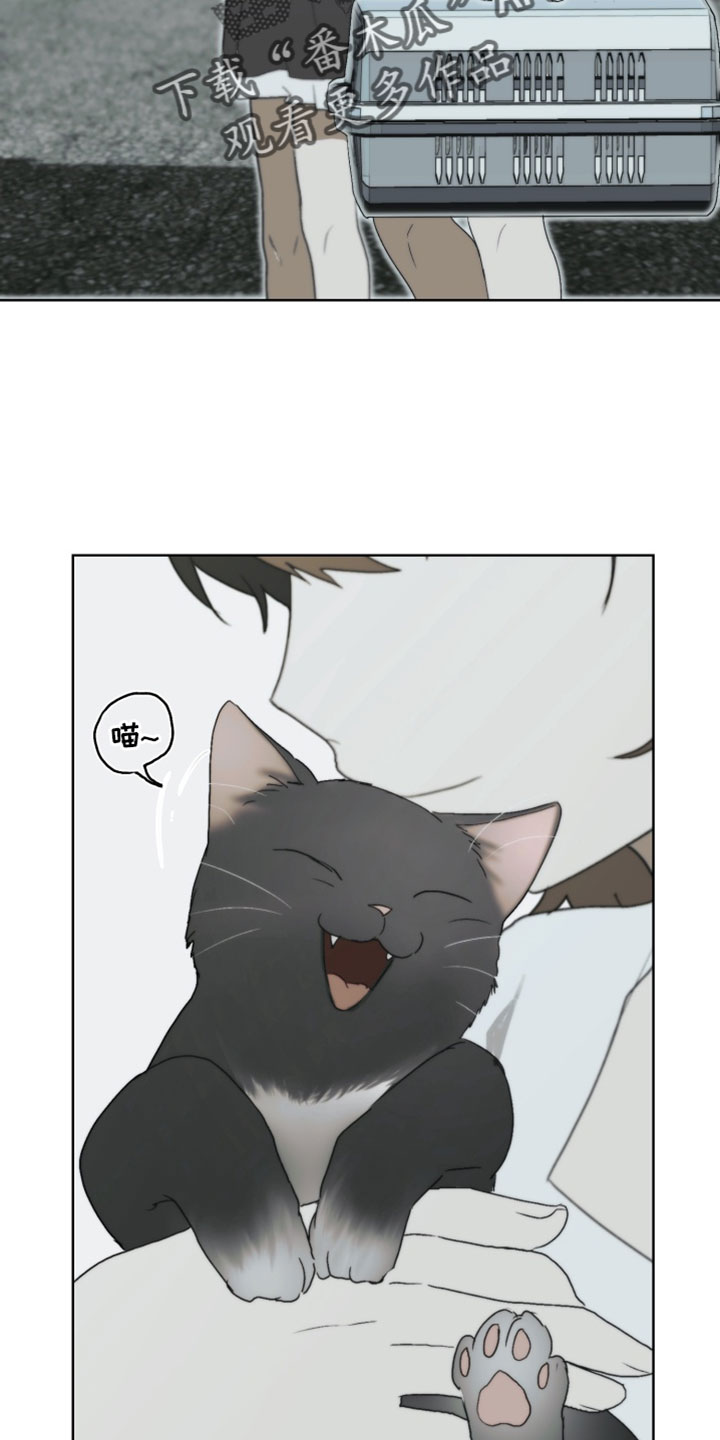 不良少年饲养手册漫画最新章节免费阅读漫画,第33章：解决办法4图