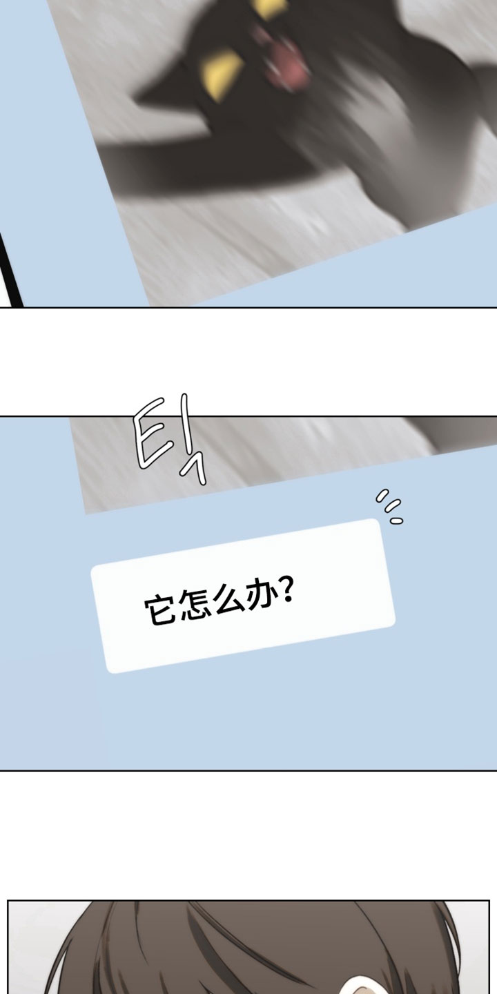 不良少年饲养手册免费阅读全文漫画,第32章：台风来了4图