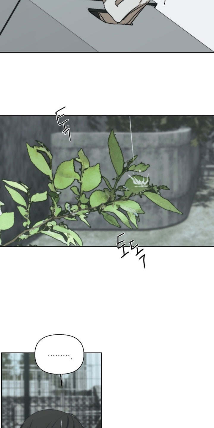 不良少年饲养手册漫画最新章节免费阅读漫画,第33章：解决办法3图