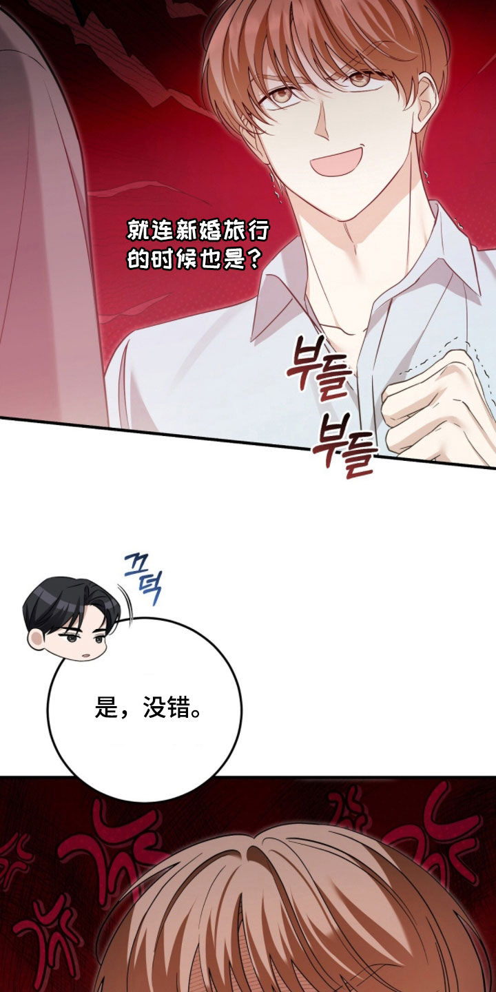 总裁的乌龙恋人漫画,第34章：工作狂2图