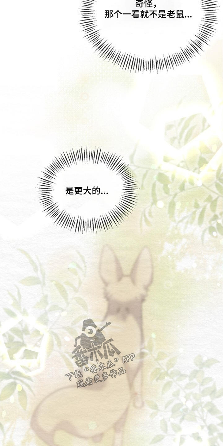 深宅罪与罚正版漫画,第40章：毛发4图