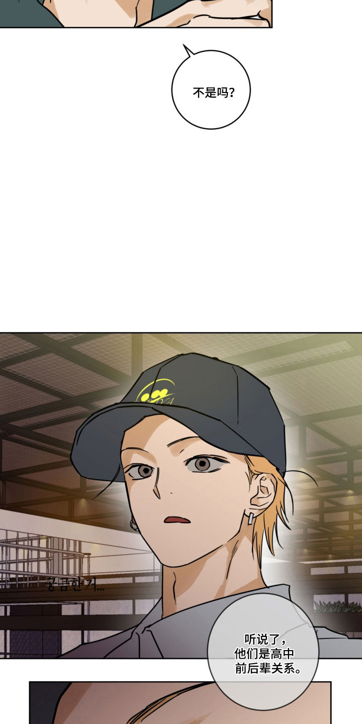 致命罗密欧李连杰国语漫画,第18章：没有实感2图