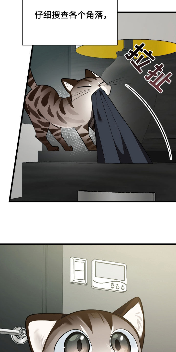 野猫的命定人类漫画实体书漫画,第25章：计划成功2图