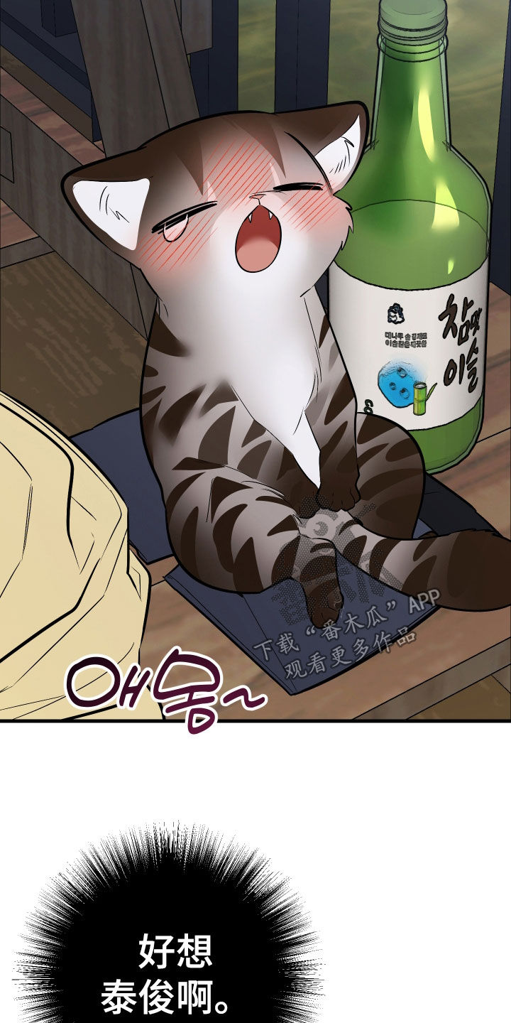 野猫的命定人类漫画,第32章：完蛋了4图